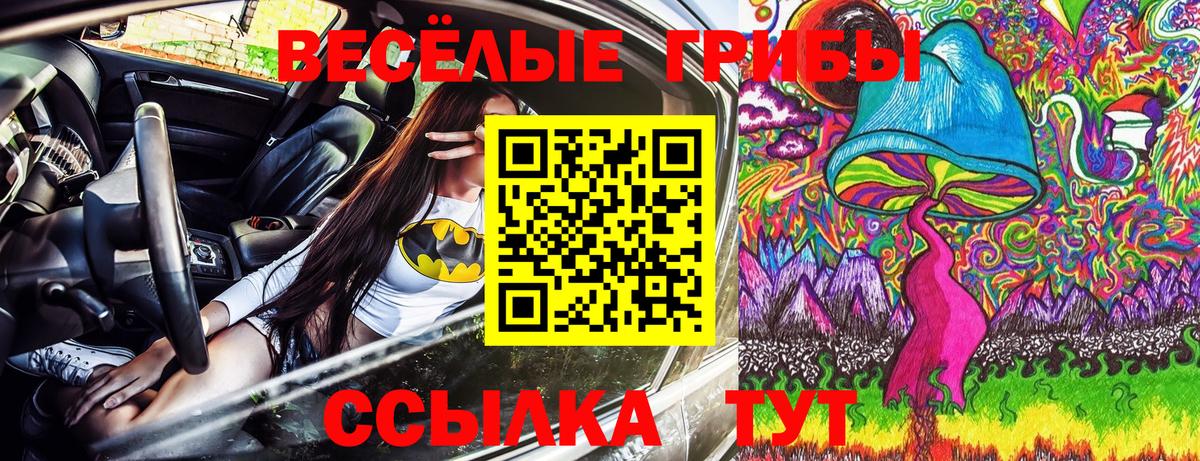 Галлюциногенные грибы прущие грибы  Вход с VPN  Новозыбков 