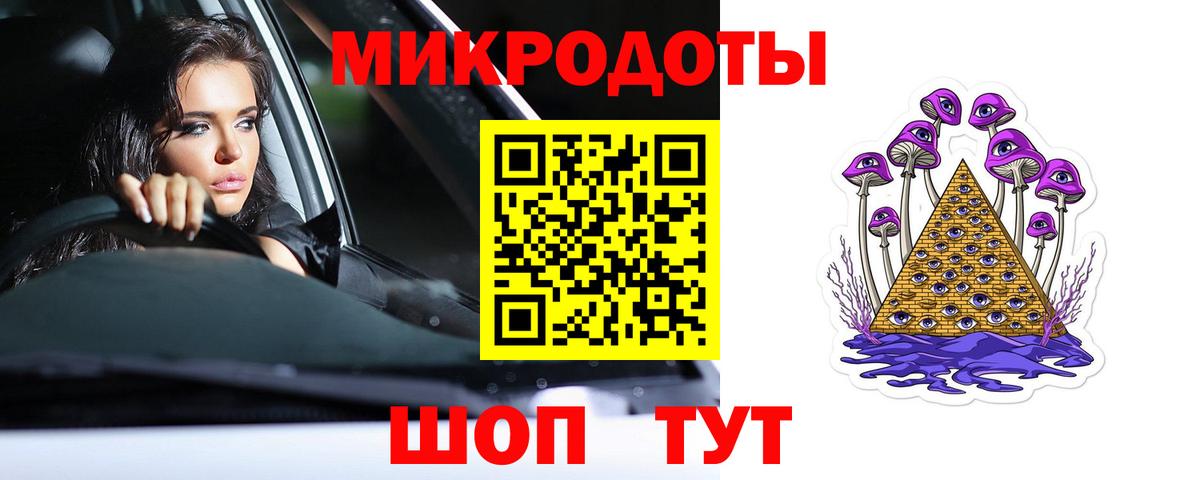 Псилоцибиновые грибы Cubensis Новозыбков